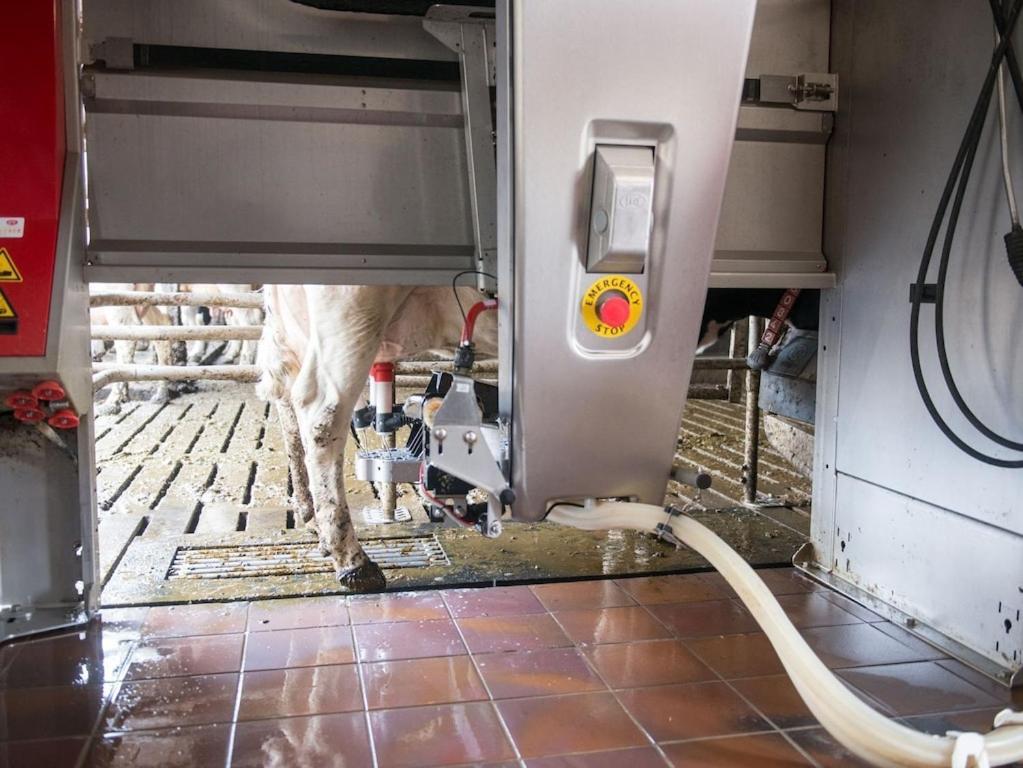 Ferienwohnung Sonnenaufgangsgenuss Harriersand Schwanewede Εξωτερικό φωτογραφία